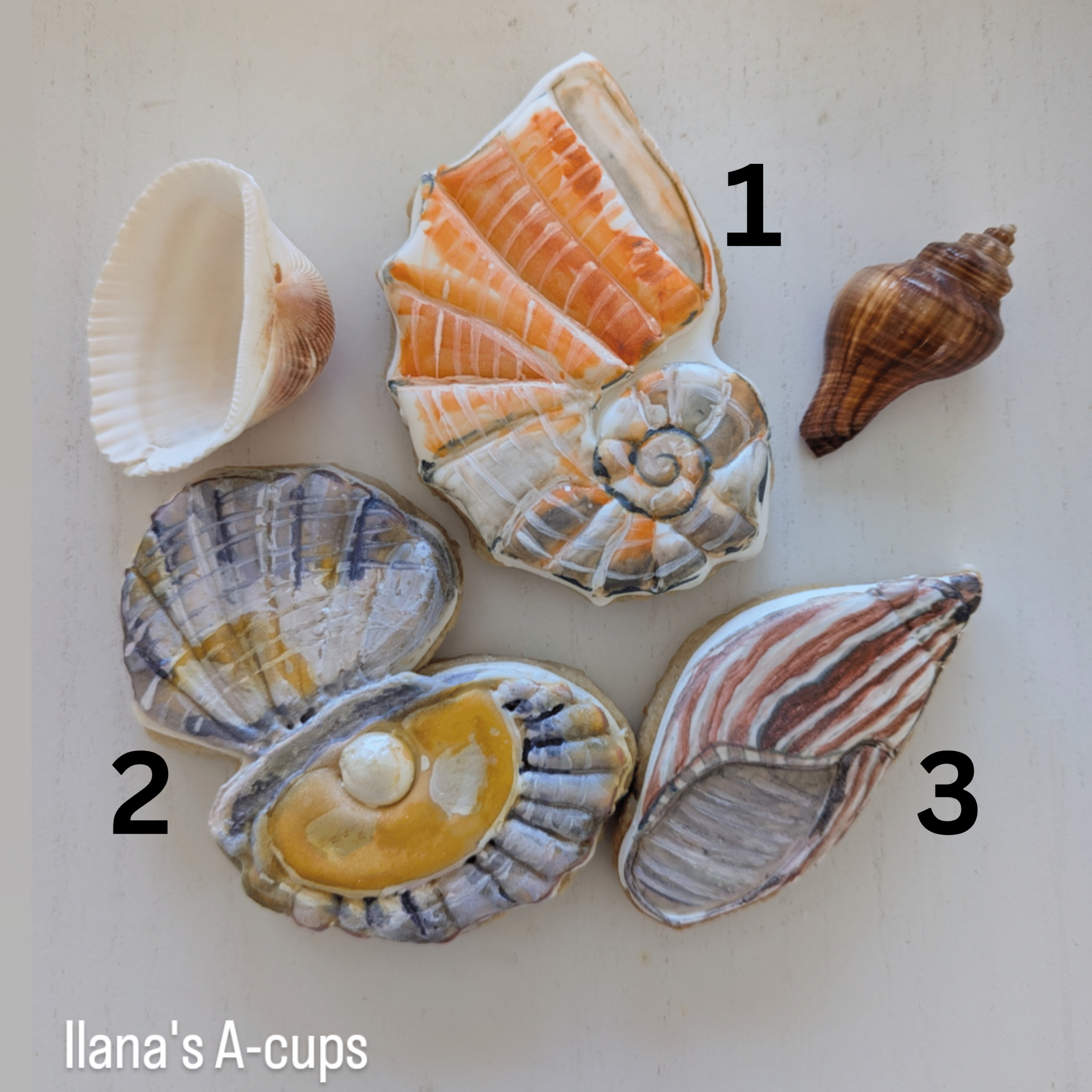 She Sells Sea Shells Cookie Cutter STL Files - Image 2